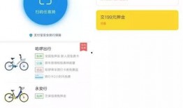 白菜小黄车爆料视频下载,一窥共享单车行业幕后真相