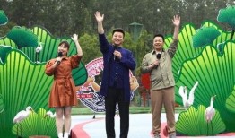 深圳热门头条爆料视频最新,揭秘热门头条背后的惊人真相！